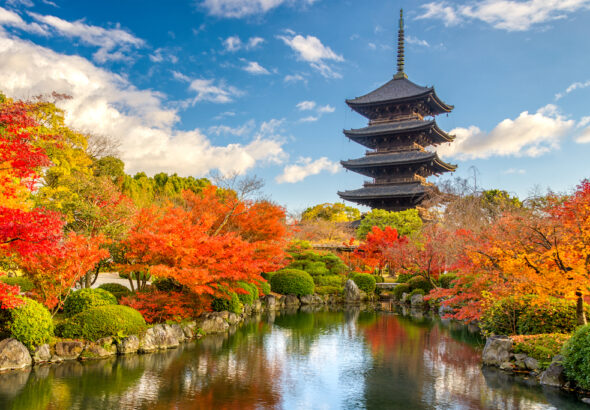Jedna z najpiękniejszych rozrywek w Japonii